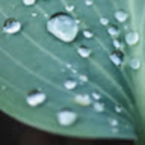 Meet your Posher, Tamra